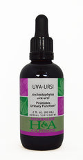 Uva-Ursi