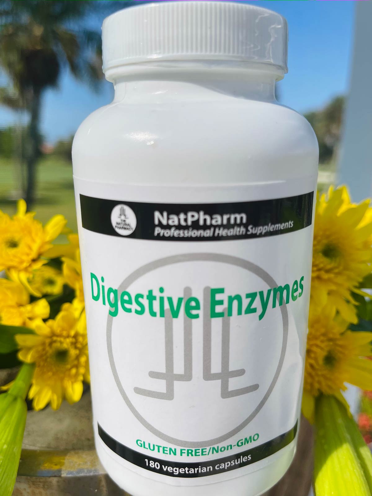 Digestive Enzymes – Natural Apothecary Shoppe